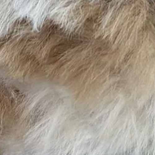 Moly Lapin Batik Tavşan Tüyü Örgü İpi P24 ( 100 Gram ) - 2