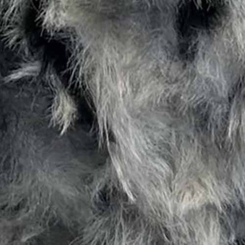 Moly Lapin Batik Tavşan Tüyü Örgü İpi P251 ( 100 Gram ) - 2